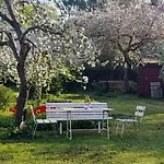 Suur-lossi Apartament *