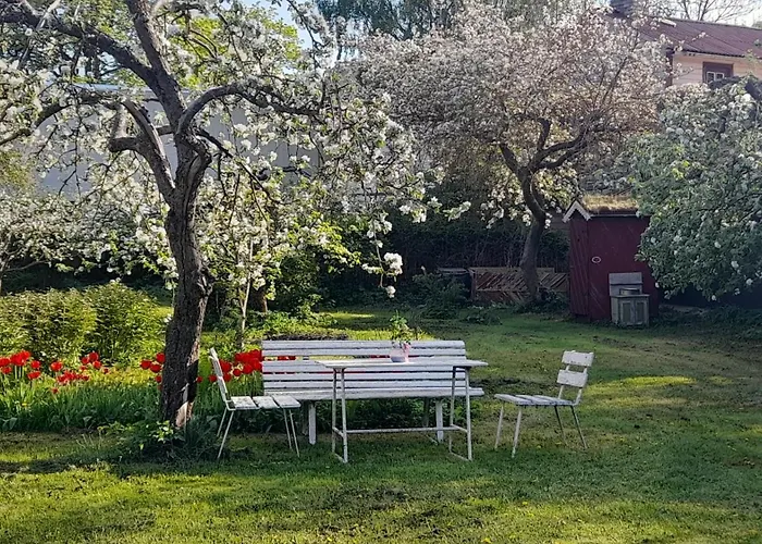 Suur-lossi Apartman *