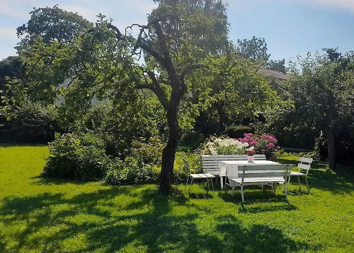 Suur-lossi Apartman *